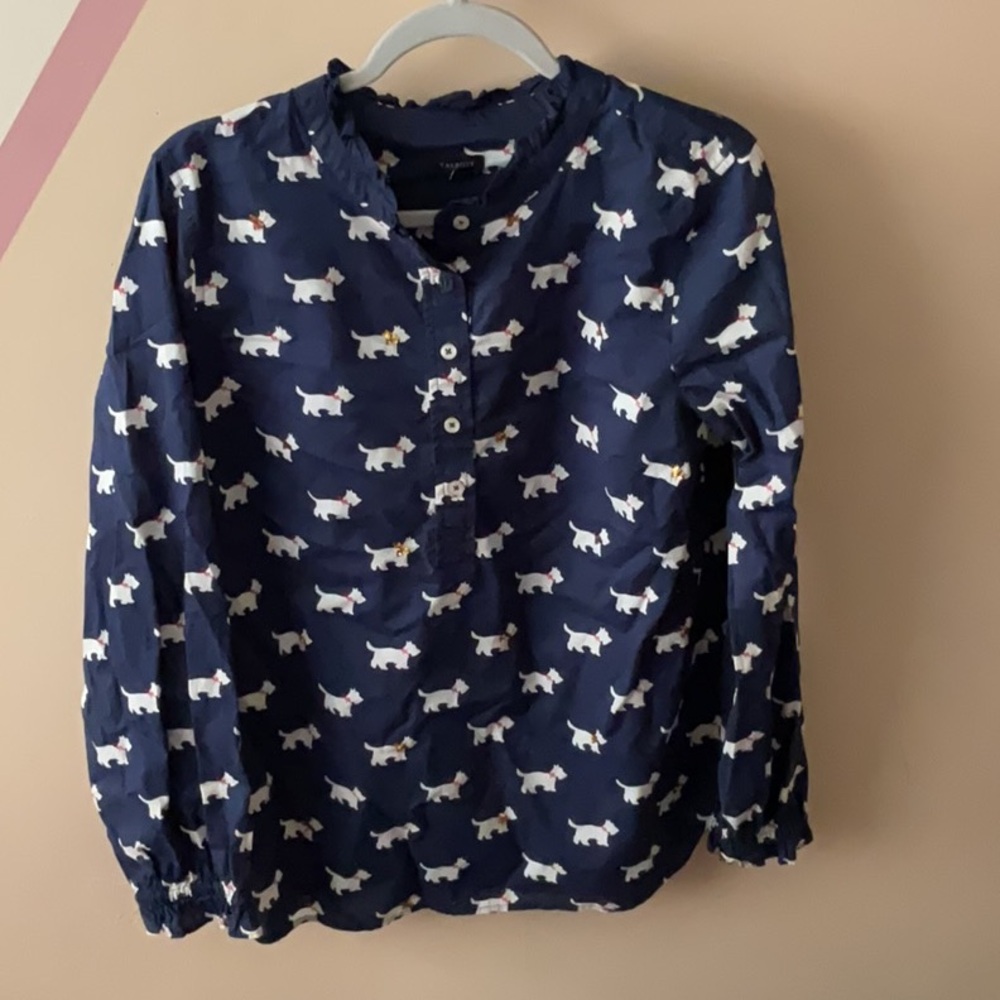 Talbots Blue and White Button Down Shirt with Playful Print